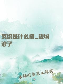 系统是什么桶